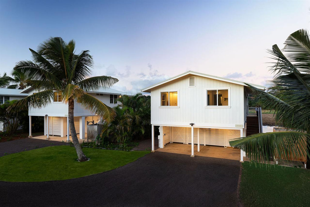Modern house with palm trees in a tropical setting