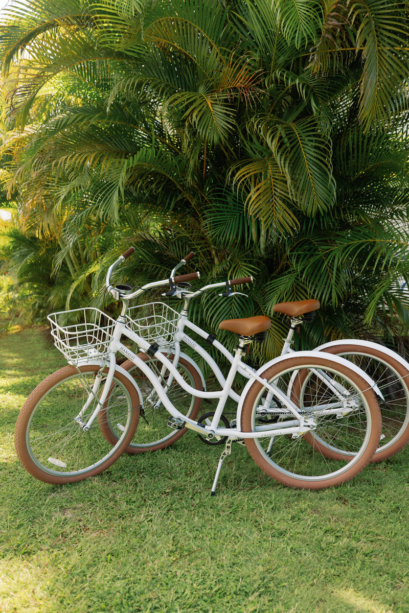 Cruiser Bikes